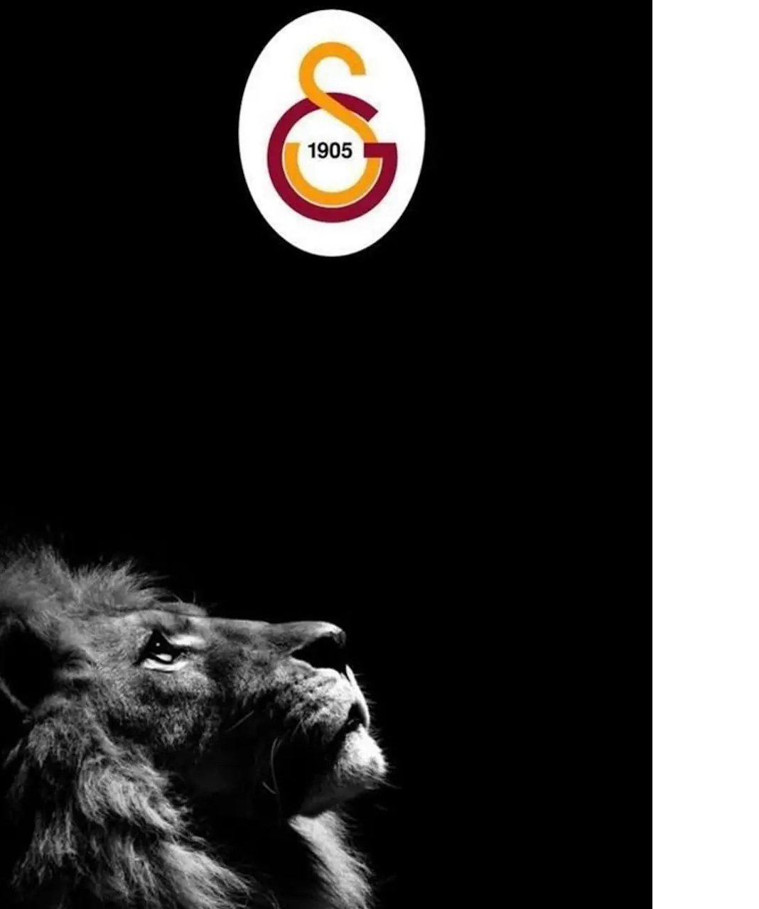 osimhen-115-jpg-kopyasi-001