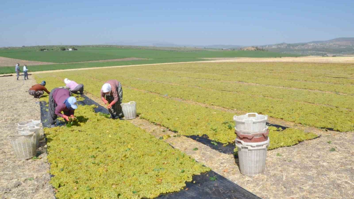 resim-2025-07-30-151055157