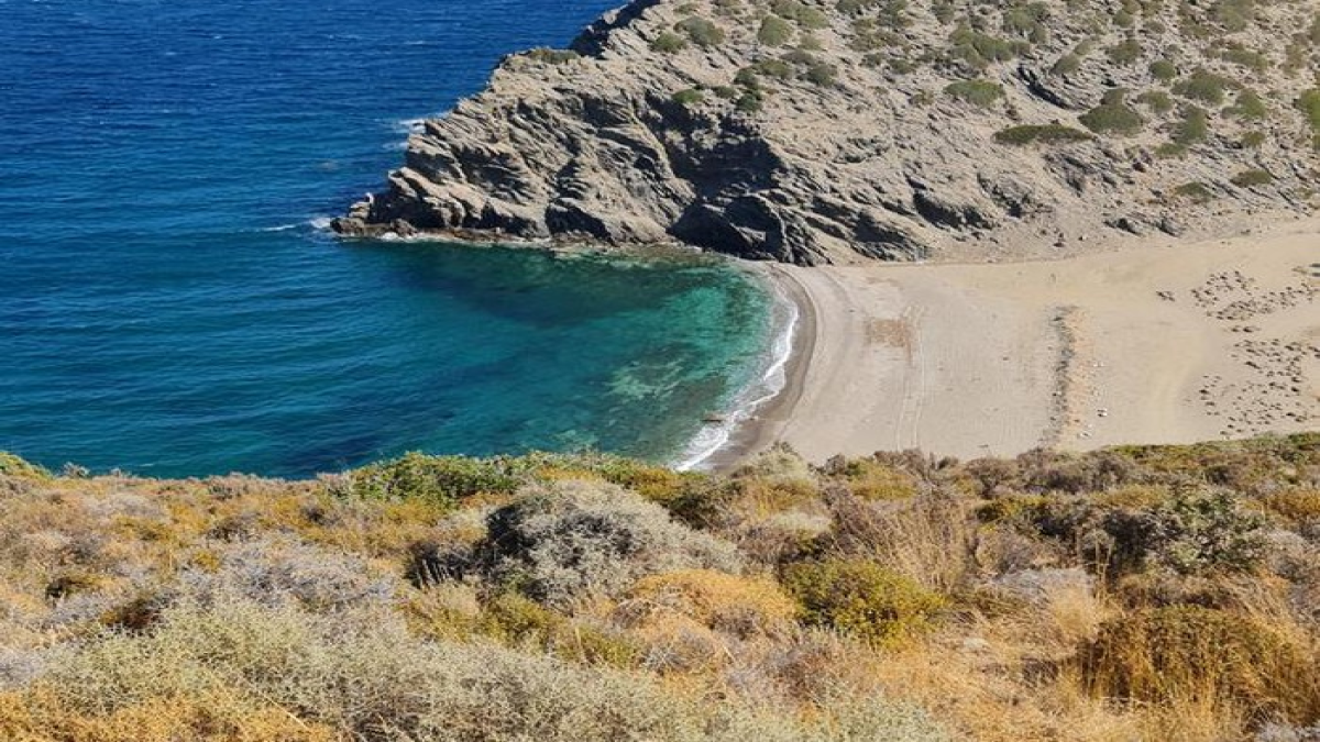 resim-2025-07-31-011819776