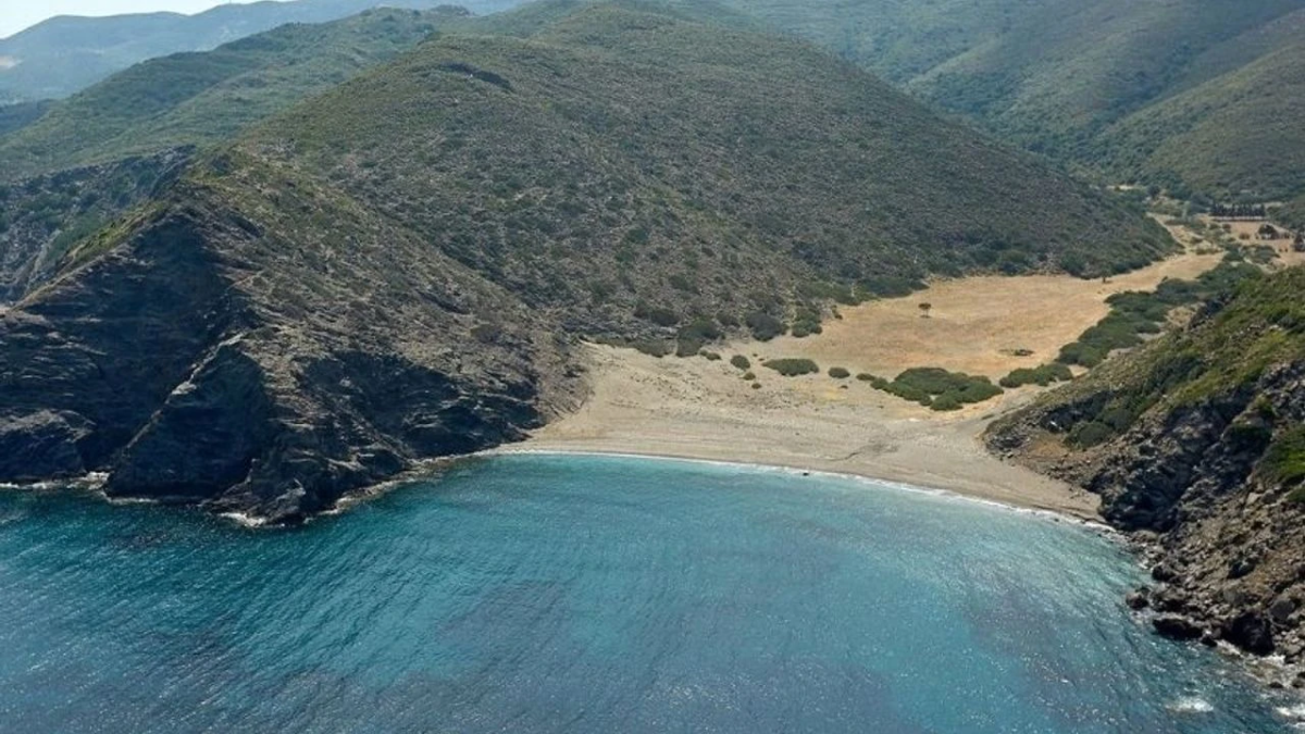 resim-2025-07-31-011943061