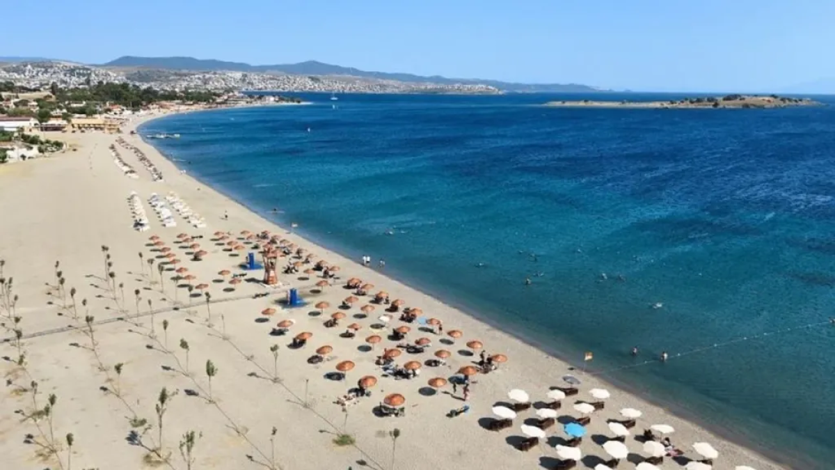 resim-2025-07-31-012502896