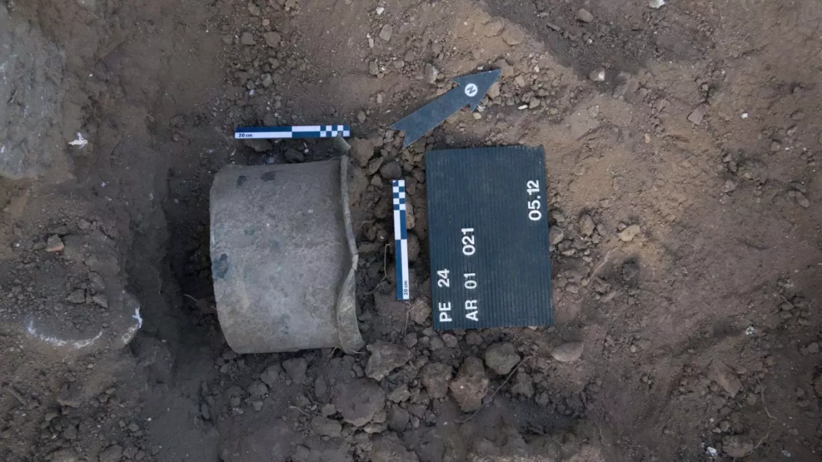 resim-2025-07-31-013047659