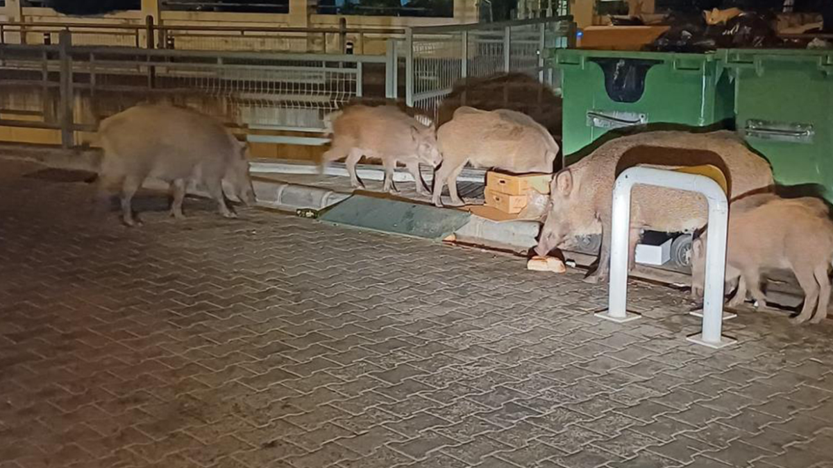 resim-2025-07-31-124509211