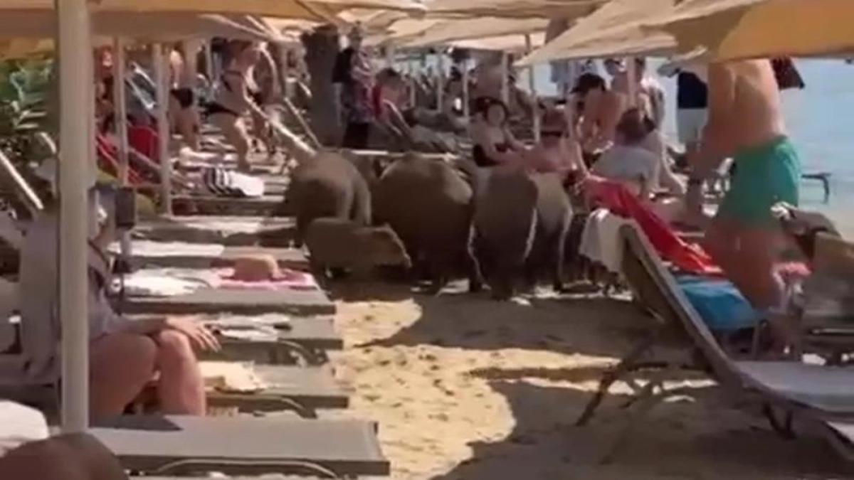 resim-2025-07-31-124556006