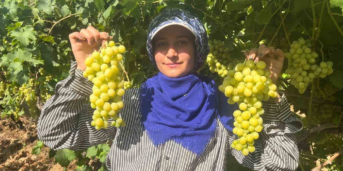 yeni-proje-18.jpg