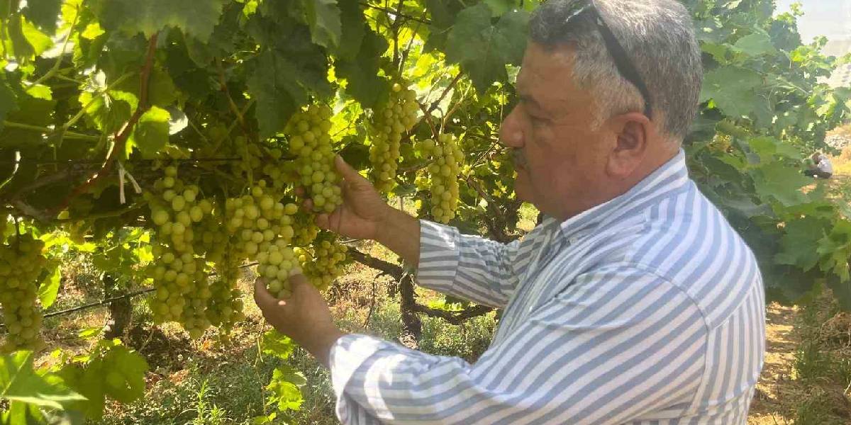 yeni-proje-19.jpg