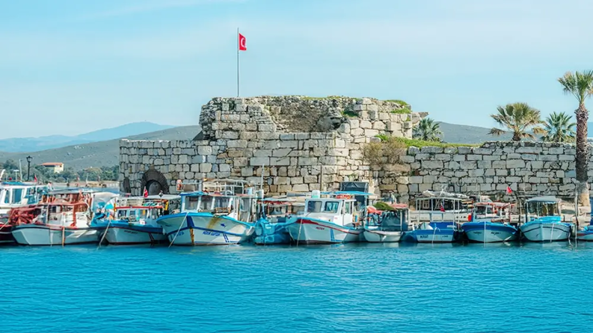 resim-2025-08-01-005243320