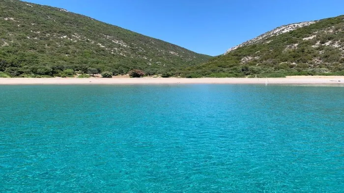 resim-2025-08-01-005314580