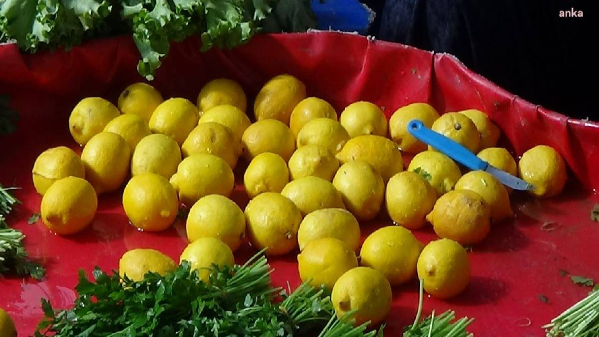 resim-2025-08-02-154030945