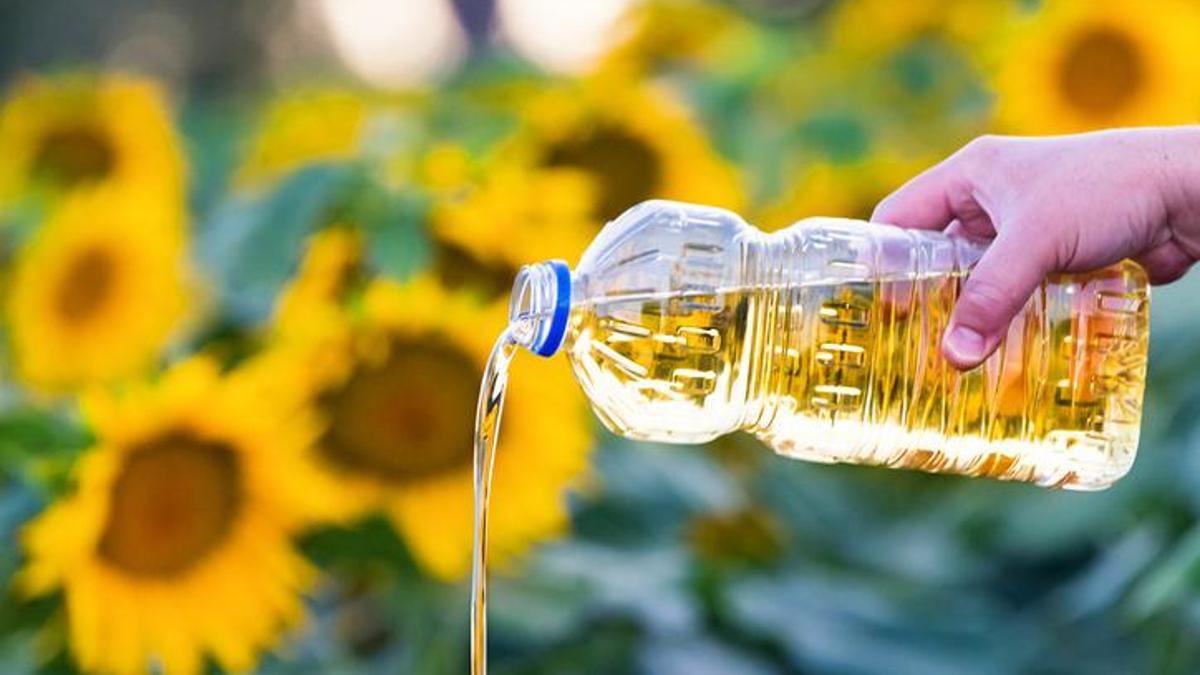 62d41fa6d265a20eec52d6e6