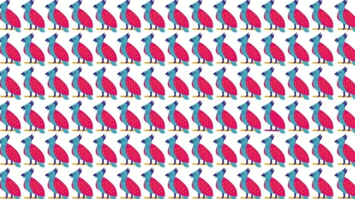 gercek-dahiler-gozu-kapali-cozer-resimdeki-farkli-kusu-6-saniyede-bulmak-icin-en-az-130-iq-gerekiyor-o2ka