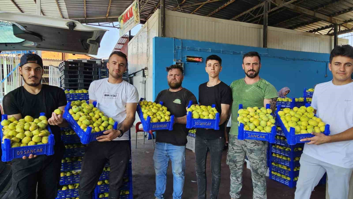 resim-2025-08-04-020419822