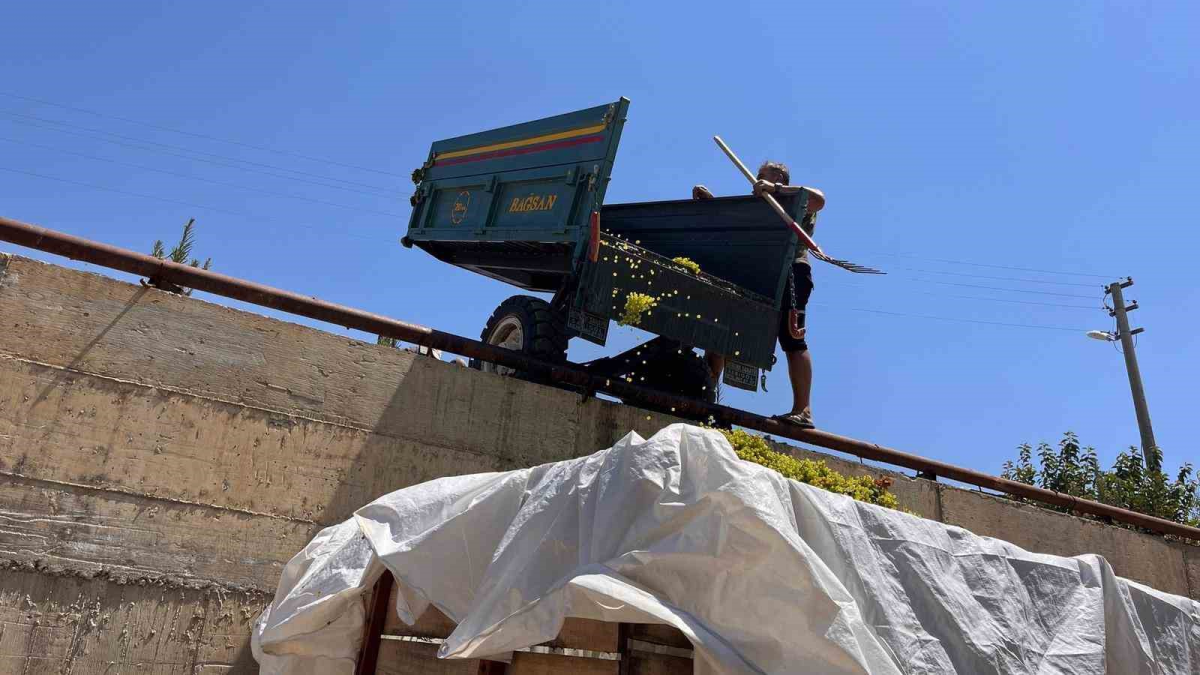 resim-2025-08-05-020948675