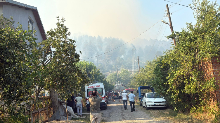 bartinda-orman-yangini-252703-media3