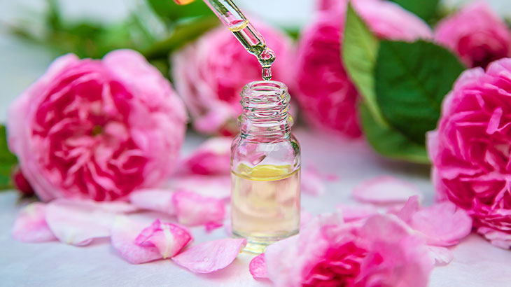 ee32c10f-2bd4-42f2-96b2-ebf3f0cff83b