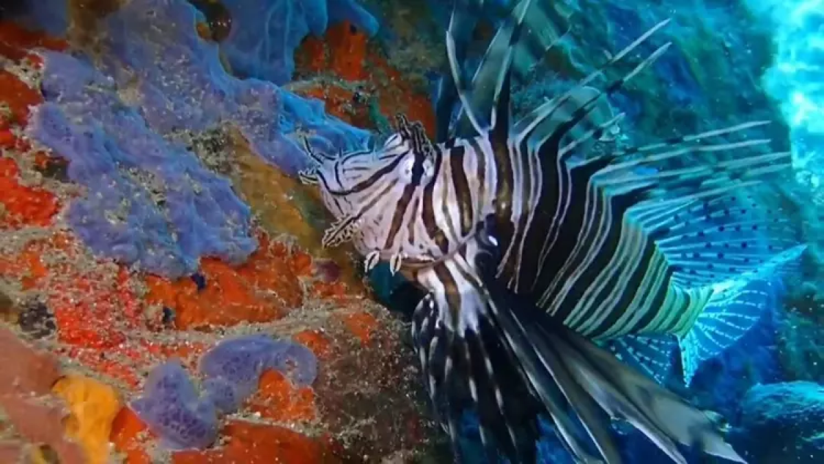 resim-2025-08-06-003413331