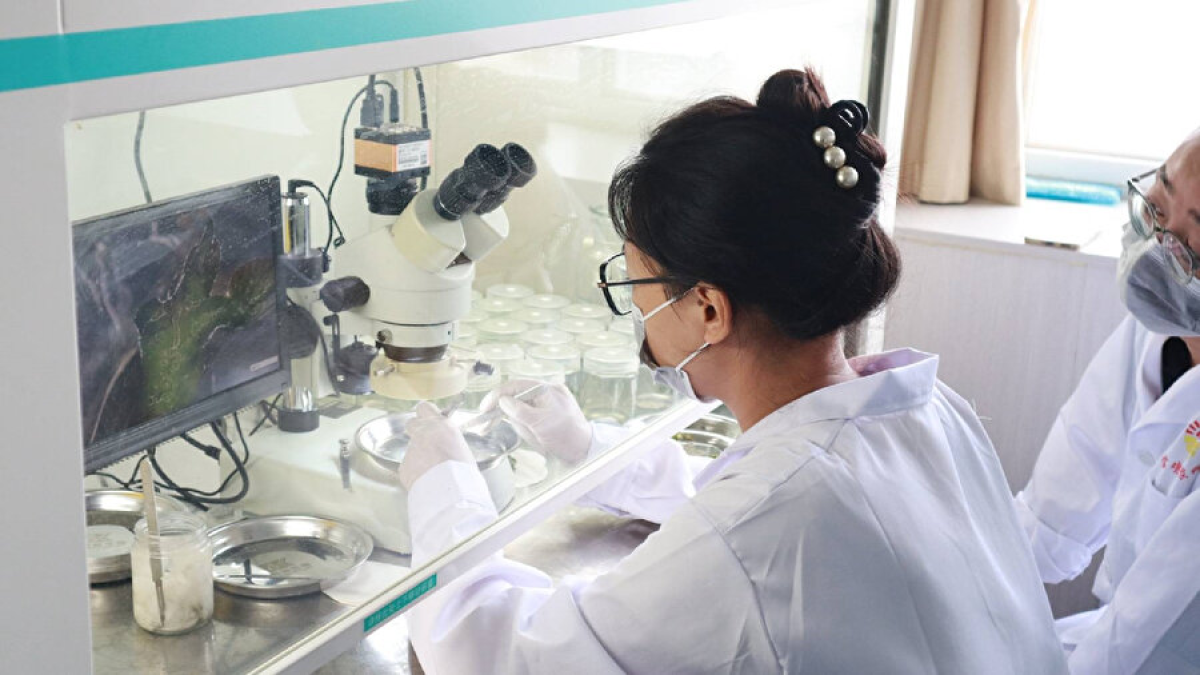 resim-2025-08-06-005919948