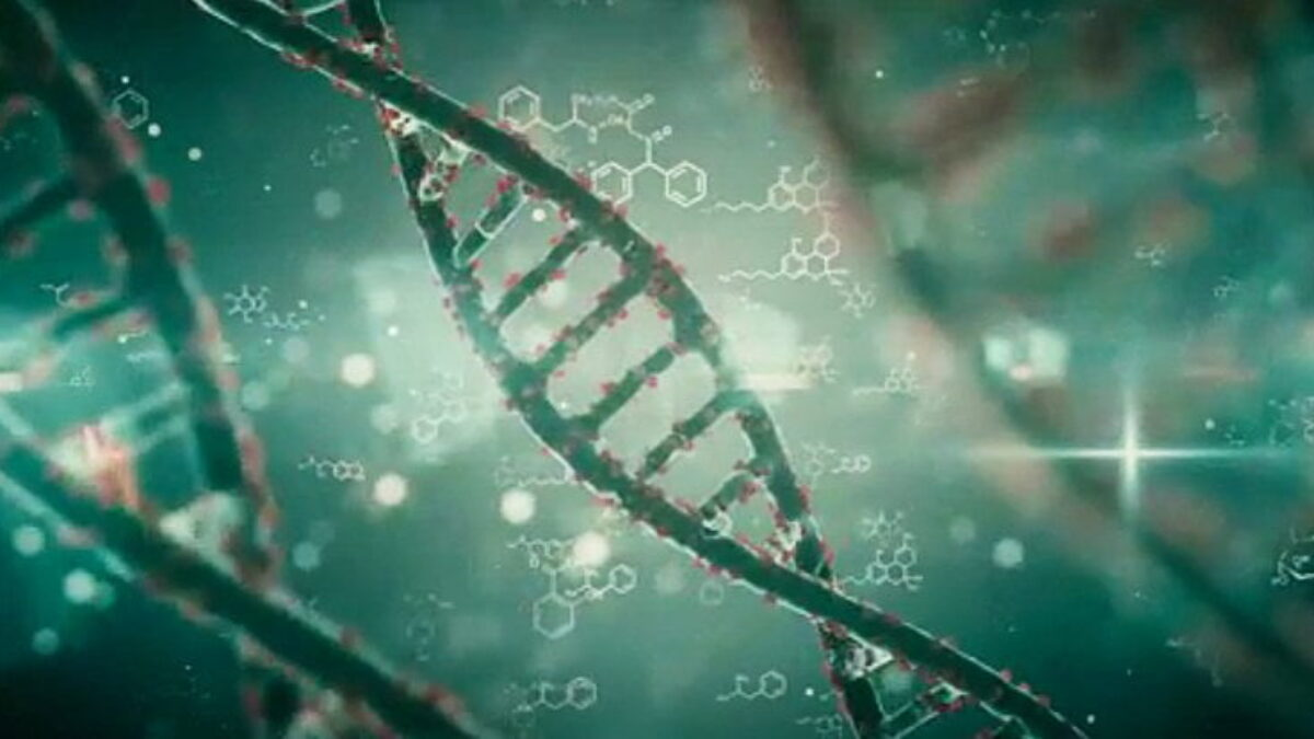 resim-2025-08-06-010008506