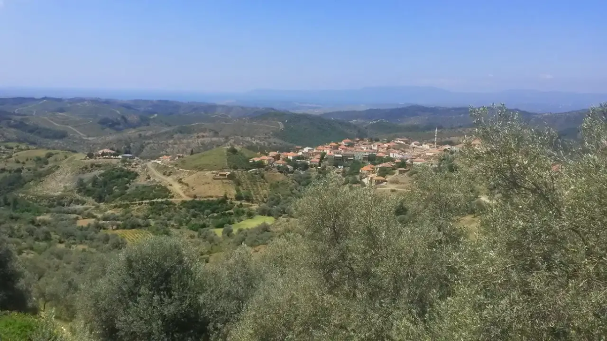 resim-2025-08-06-013629235