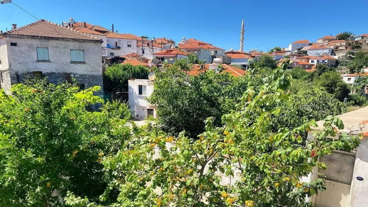 resim-2025-08-06-013730123