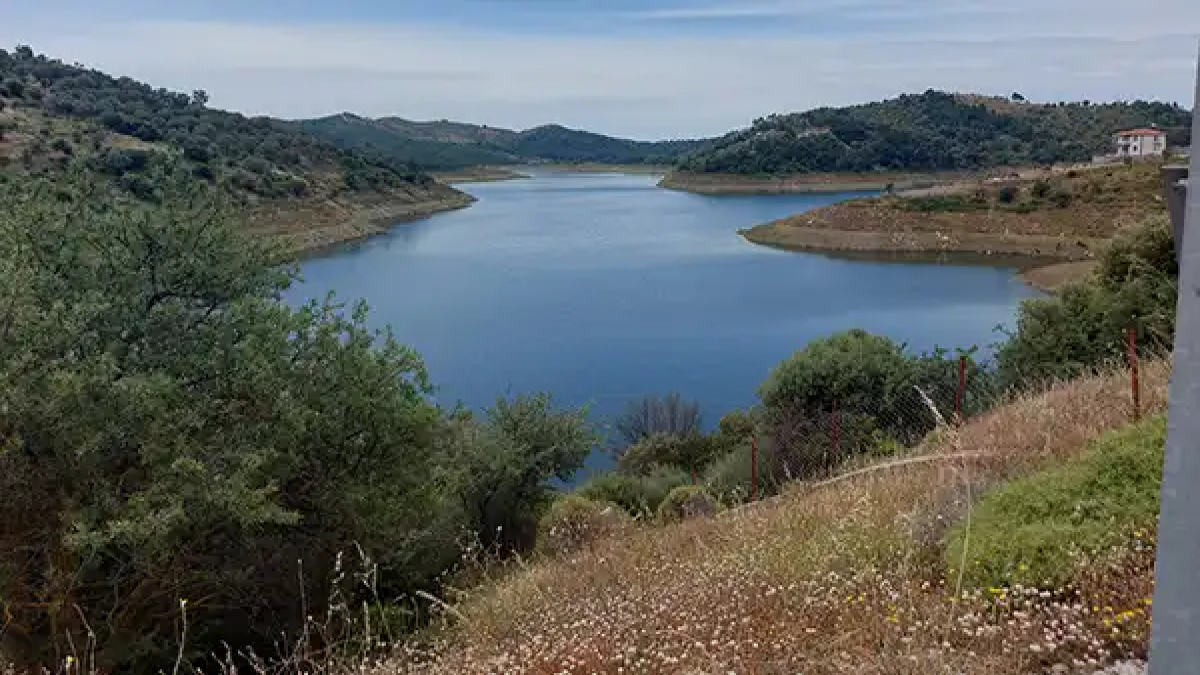 resim-2025-08-06-013747043