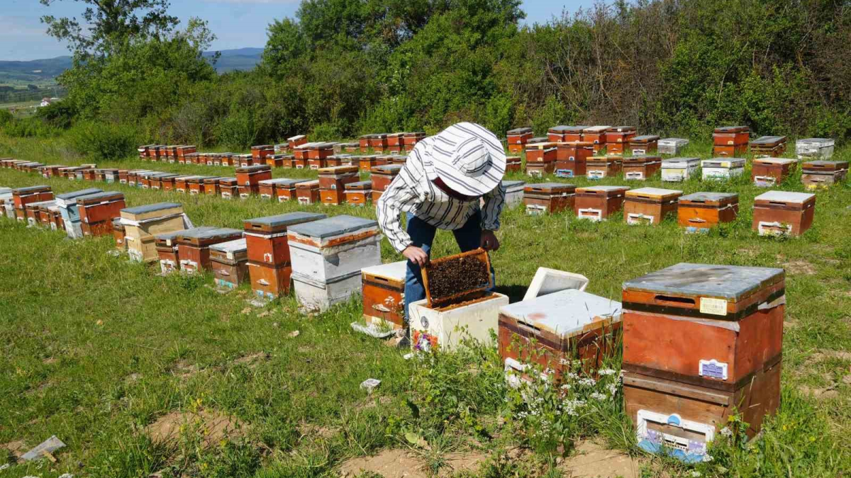 resim-2025-08-06-130441483