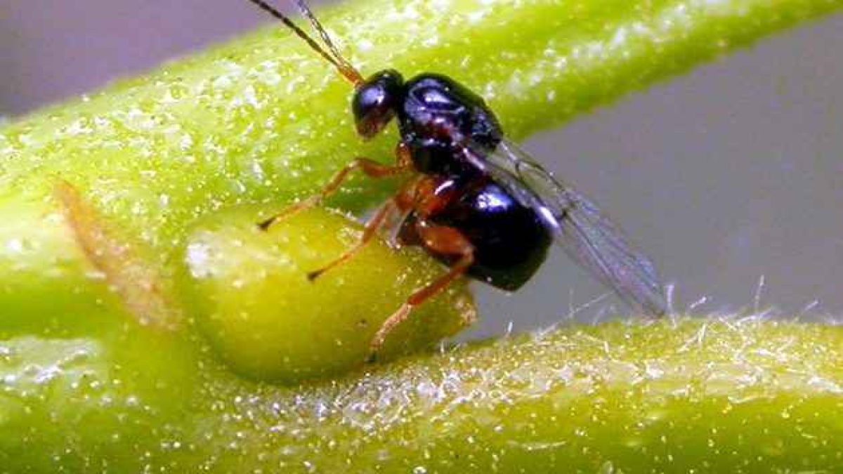 resim-2025-08-06-130710205-001