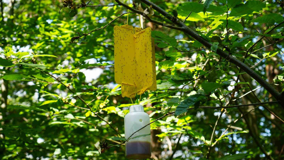 resim-2025-08-06-130739928