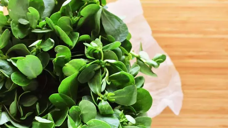 600be4e15cf3b007c4a96aad