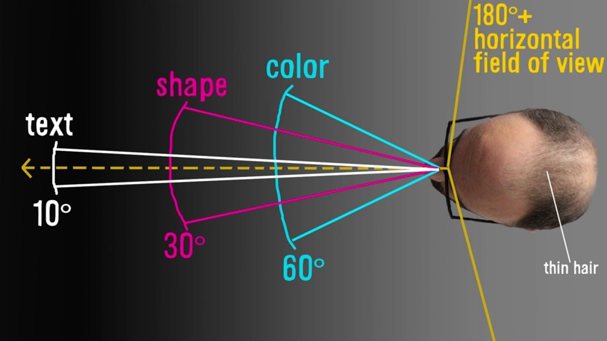 insan-gozu-kac-megapikseldir