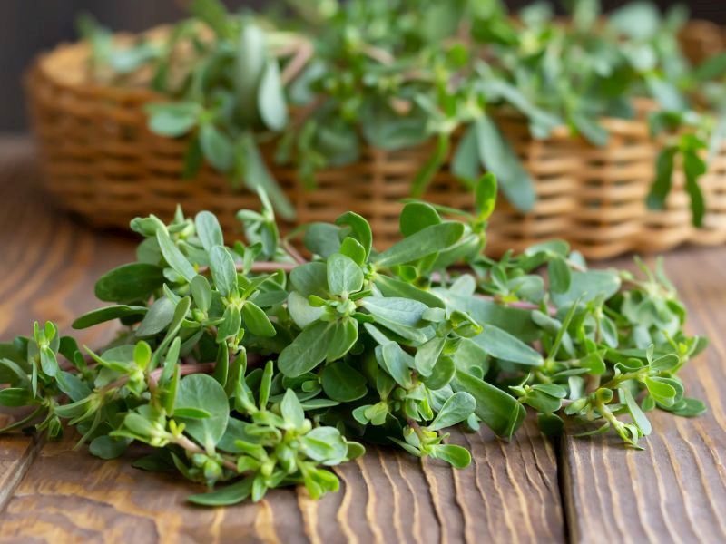 semizotu-nasil-temizlenir-33fe20e0-667b-4b73-97bc-67e5a4ab2f06