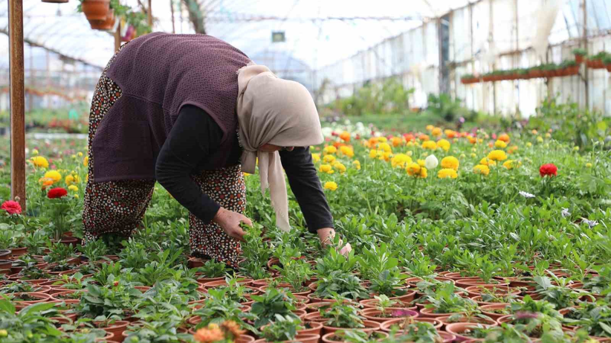 resim-2025-08-08-022039595