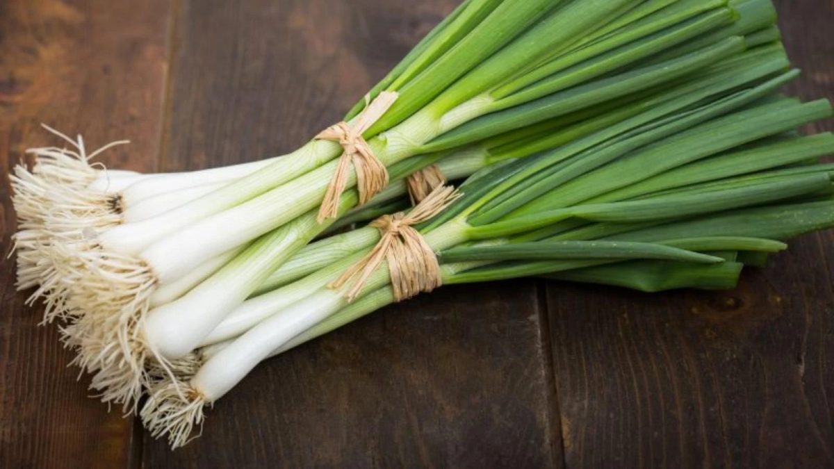 resim-2025-08-09-021951239