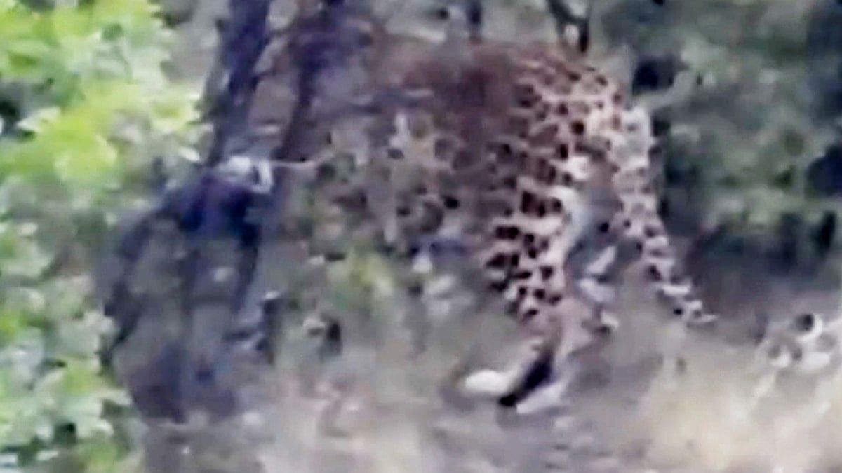 whatsapp-image-2025-08-09-at-08-13-46