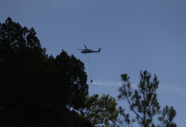 aa-picture-20250810-38789253