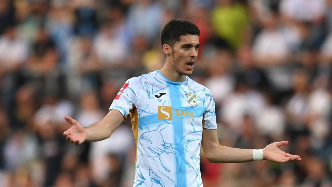 niko-jankovic-fenerbahce