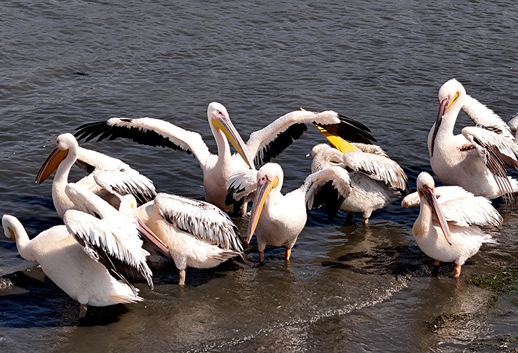 06-2025-05-agustos-07-20250808-2-70279591-115861097