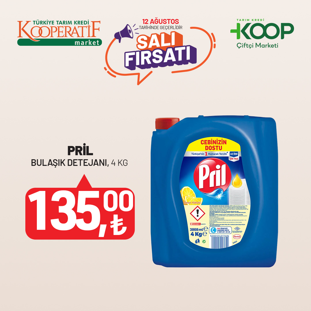 12-agustos-sali-firsati-kare-2961