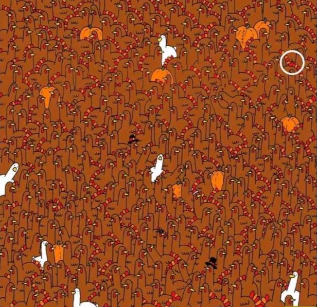 hindi-cozmek-d7p8-edit-559438685245547