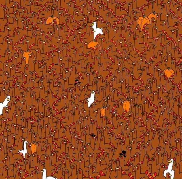 hindi-elma-owwr-edit-559464331916006