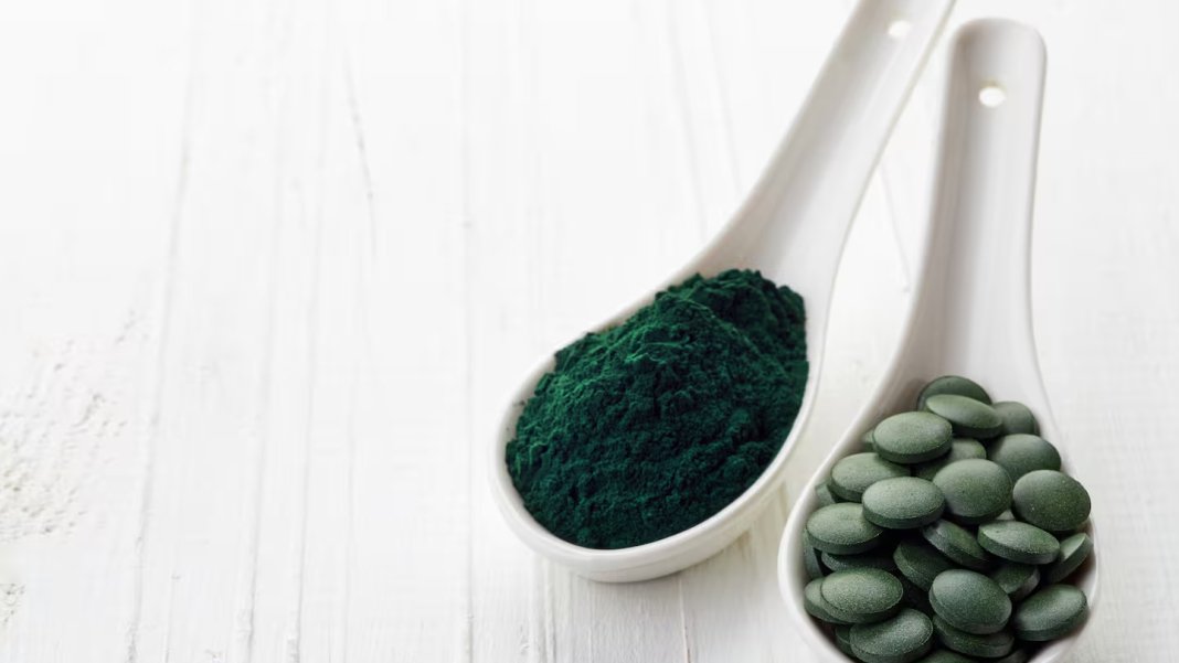 mavi-yasil-mikro-alg-2