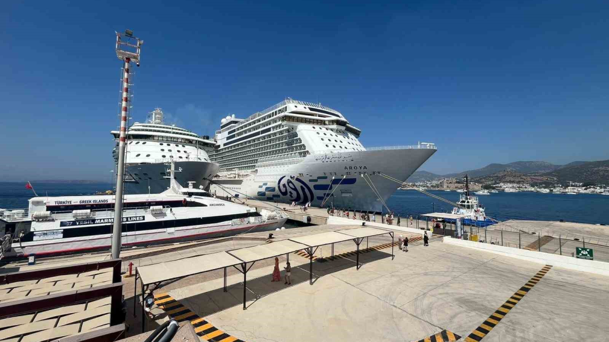 resim-2025-08-12-022207205