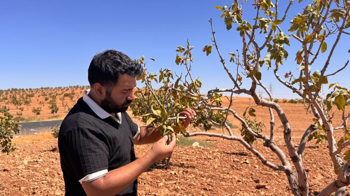 resim-2025-08-13-121621746