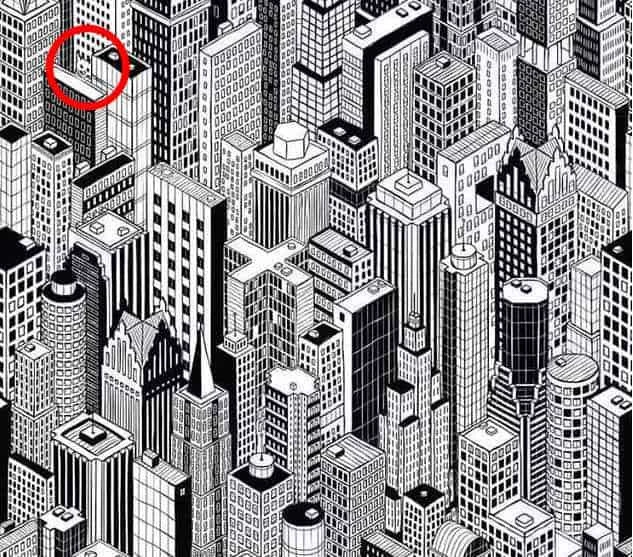 brain-teaser-spot-the-hidden-cat-so-tq2h