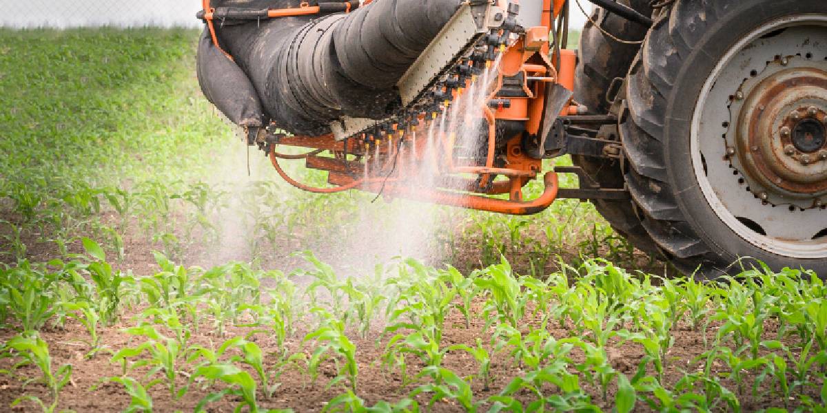 pestisitin-en-az-oldugu-4-besin-1