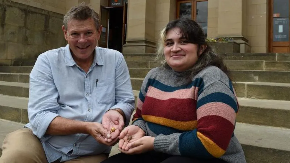 resim-2025-08-14-022216354