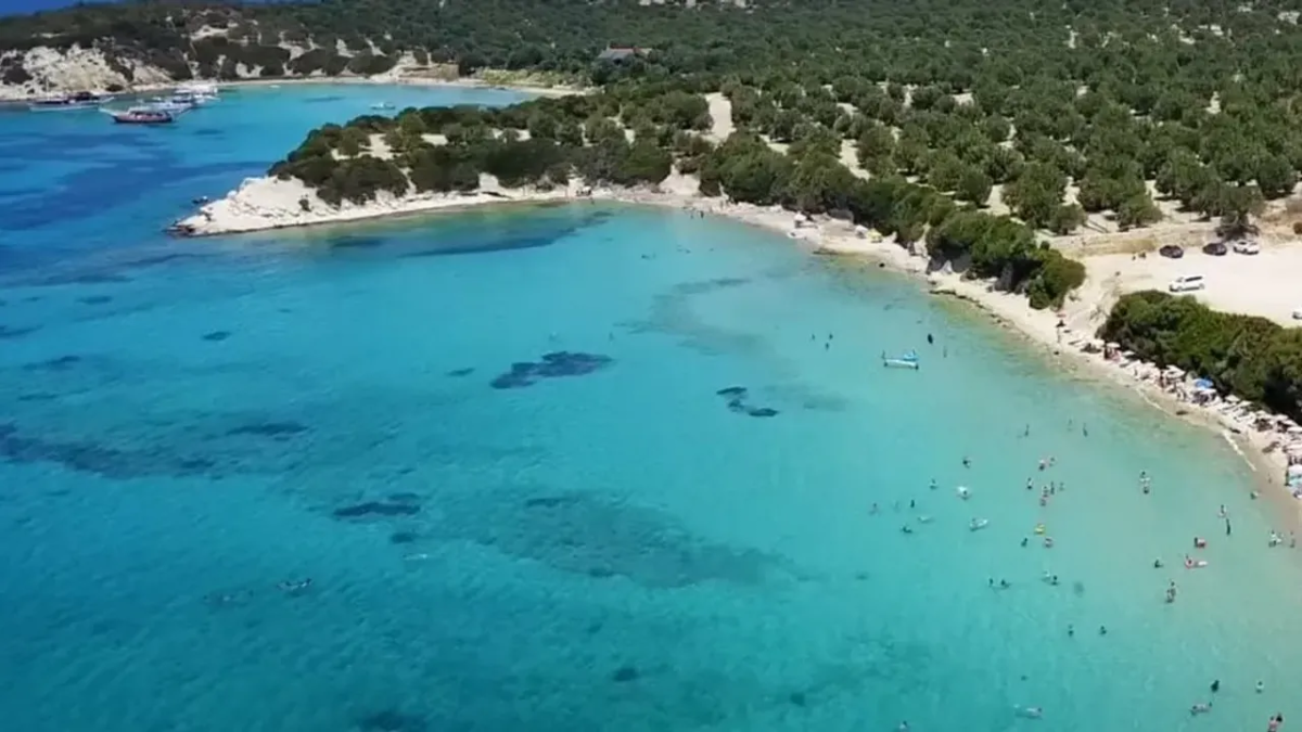 resim-2025-08-14-022624283