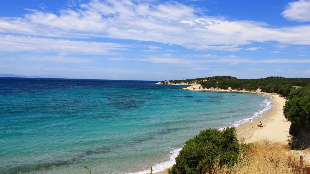 resim-2025-08-14-022744939