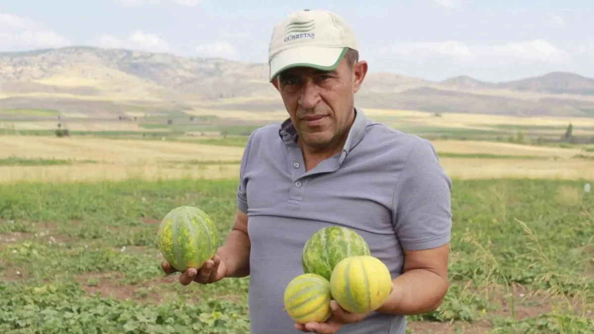 resim-2025-08-15-014119593