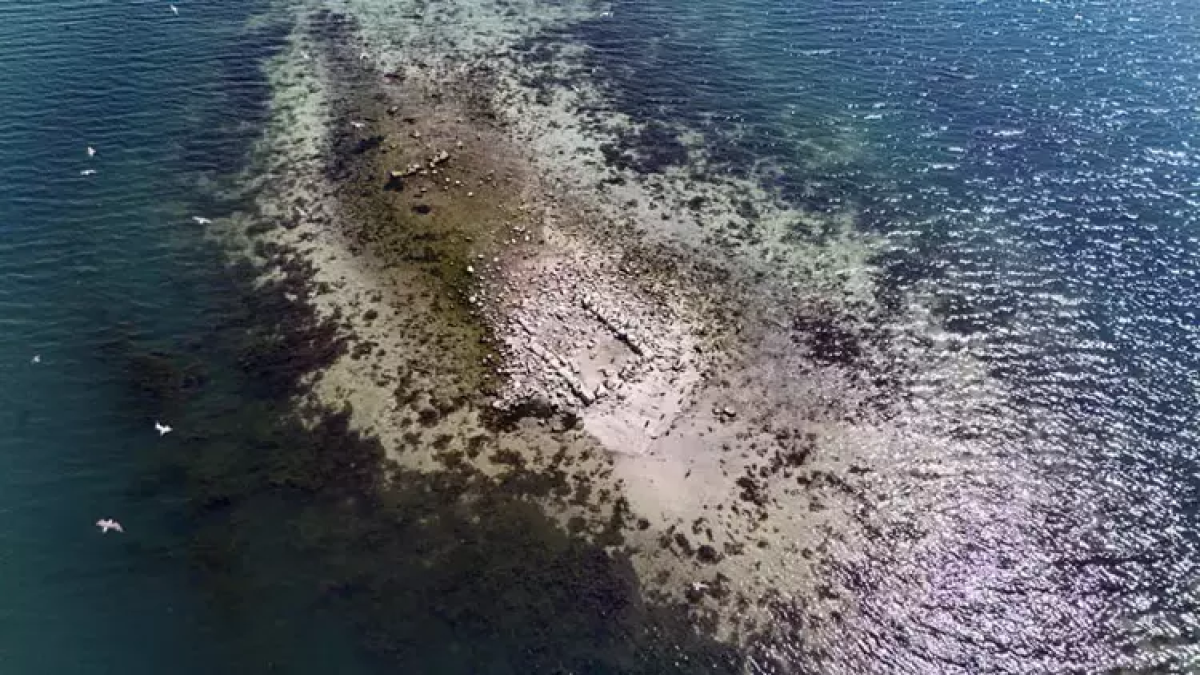 resim-2025-08-15-015318208